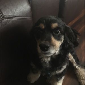 Meet your Posher, Marco